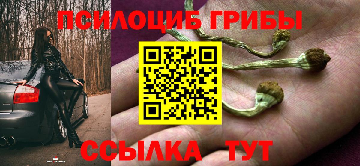 Россия  Псилоцибиновые грибы Psilocybine cubensis  Галлюциногенные грибы GOLDEN TEACHER  Вход с VPN 